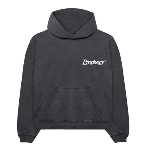 VISUALIZE YOUR FUTURE HOODIE
